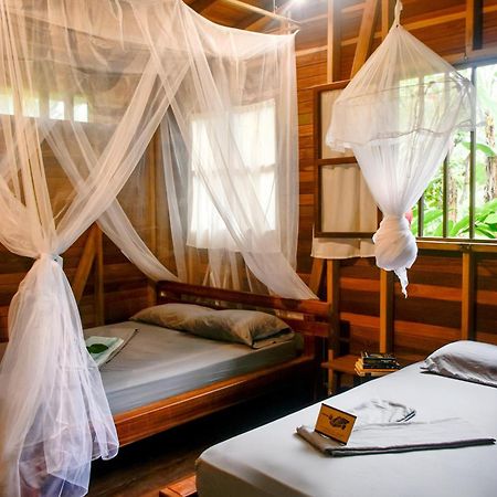 La Tarima Del Colibri Ecolodge El Valle  外观 照片