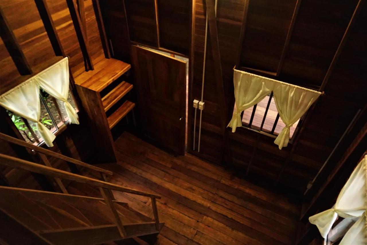La Tarima Del Colibri Ecolodge El Valle  外观 照片