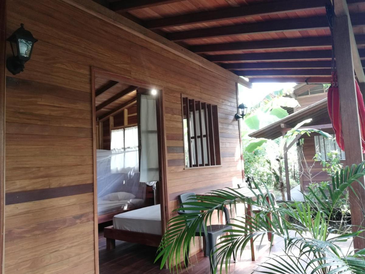 La Tarima Del Colibri Ecolodge El Valle  外观 照片