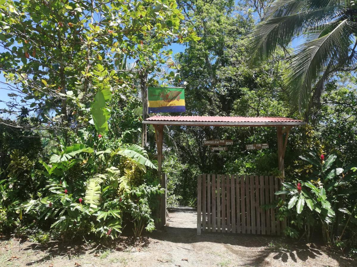 La Tarima Del Colibri Ecolodge El Valle  外观 照片