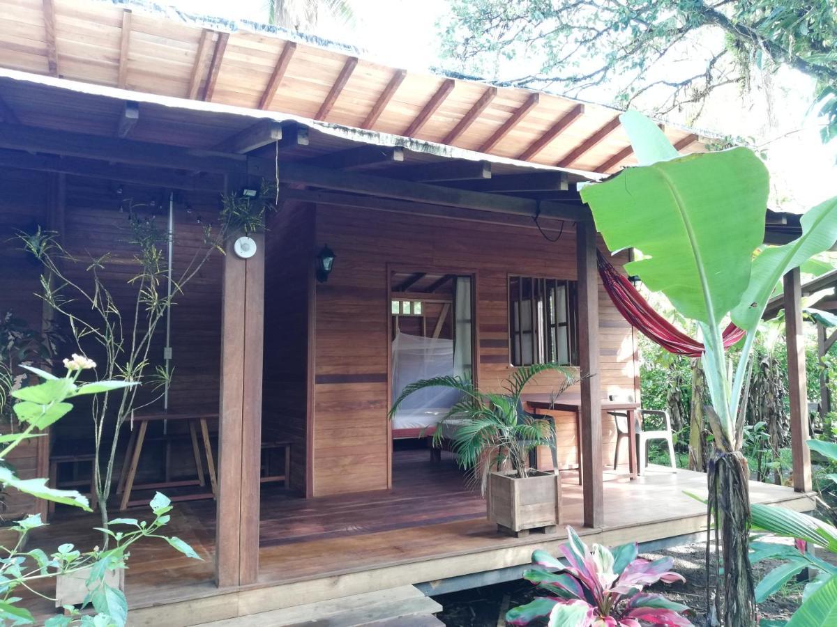 La Tarima Del Colibri Ecolodge El Valle  外观 照片