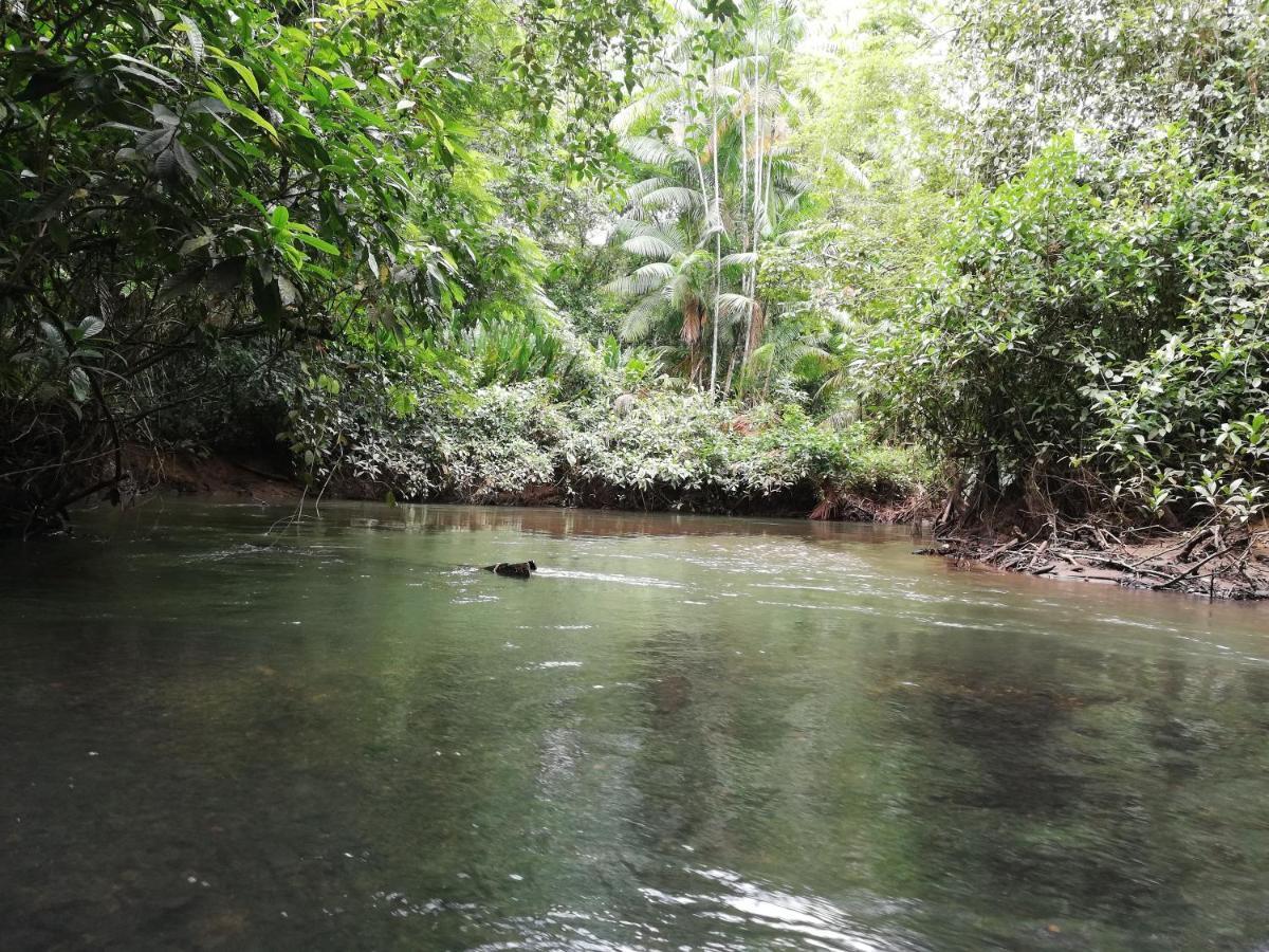 La Tarima Del Colibri Ecolodge El Valle  外观 照片