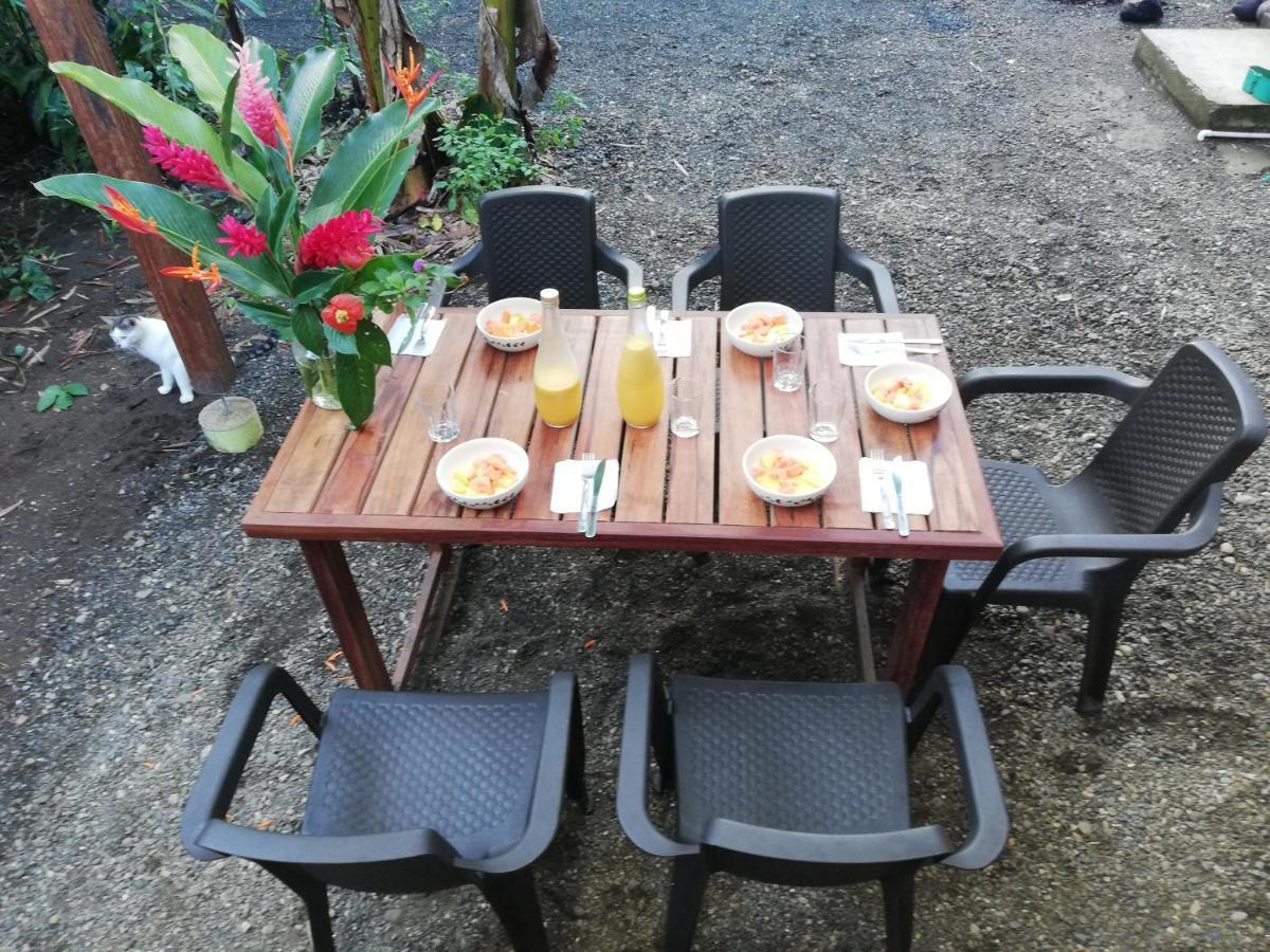 La Tarima Del Colibri Ecolodge El Valle  外观 照片
