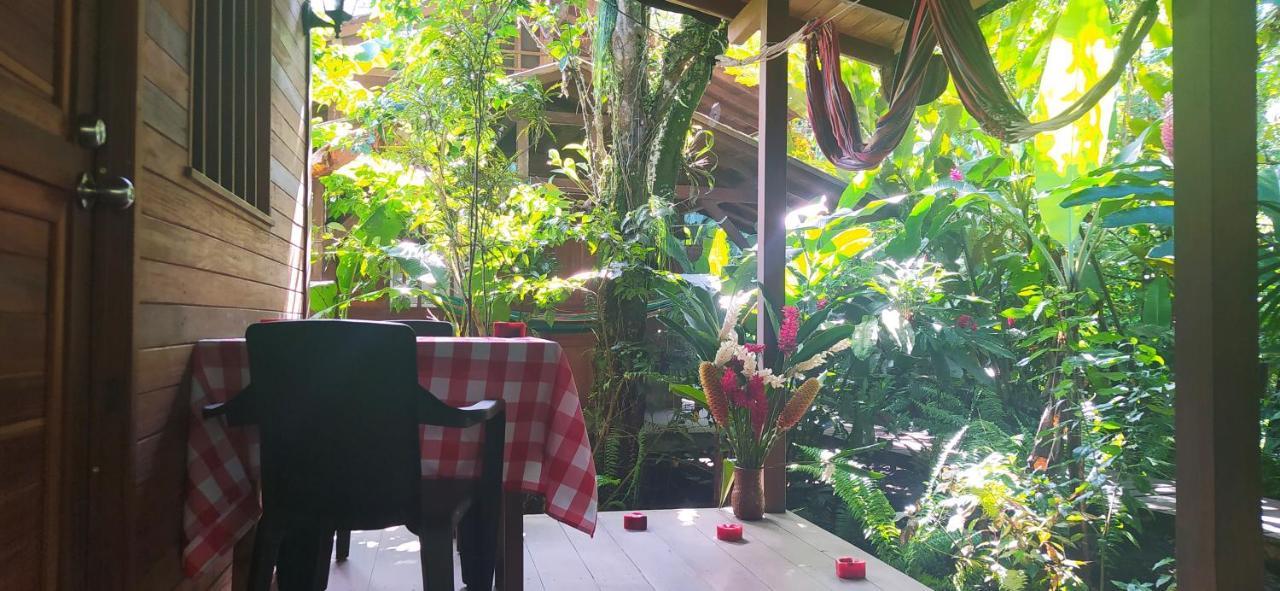 La Tarima Del Colibri Ecolodge El Valle  外观 照片