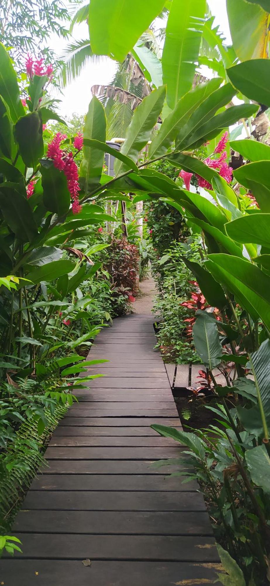 La Tarima Del Colibri Ecolodge El Valle  外观 照片
