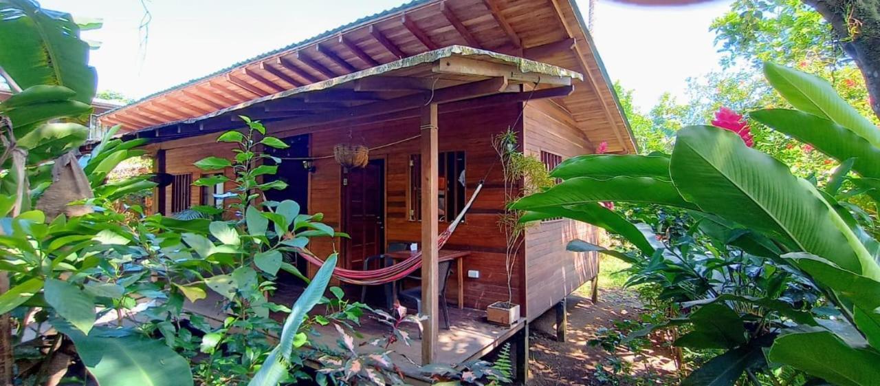La Tarima Del Colibri Ecolodge El Valle  外观 照片