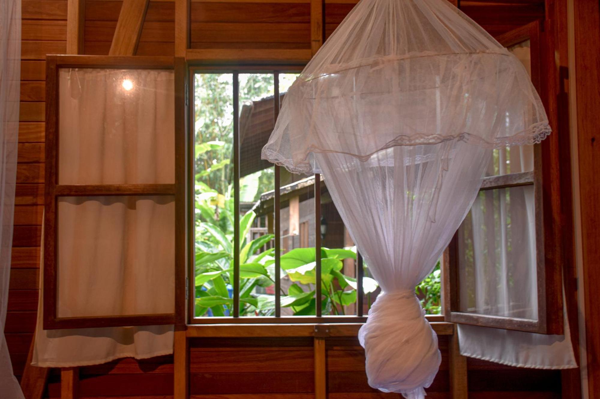La Tarima Del Colibri Ecolodge El Valle  外观 照片