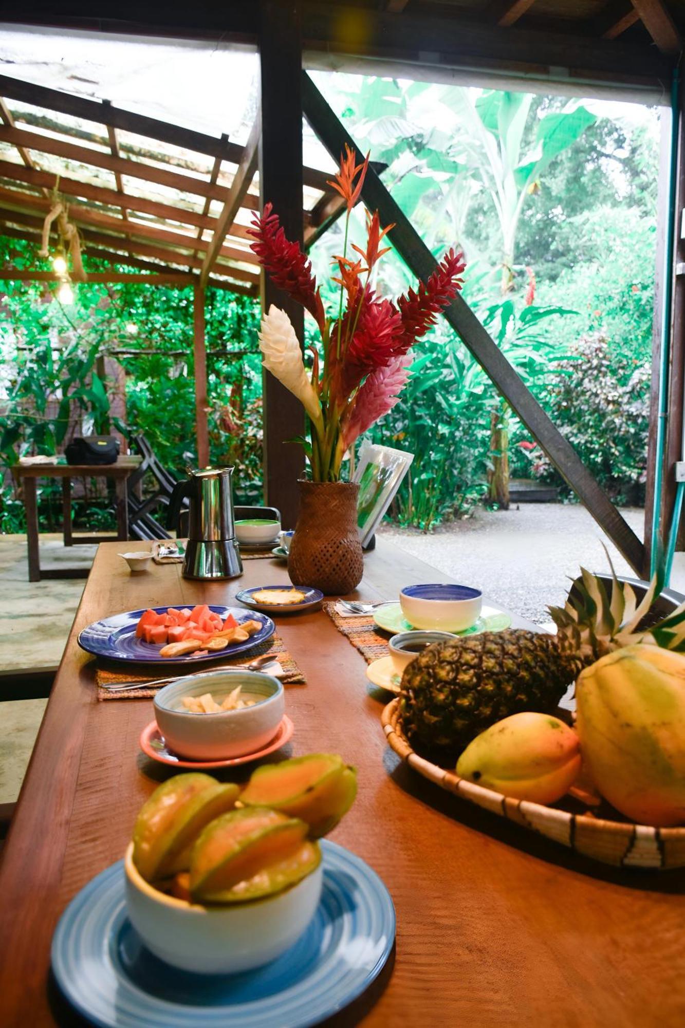 La Tarima Del Colibri Ecolodge El Valle  外观 照片