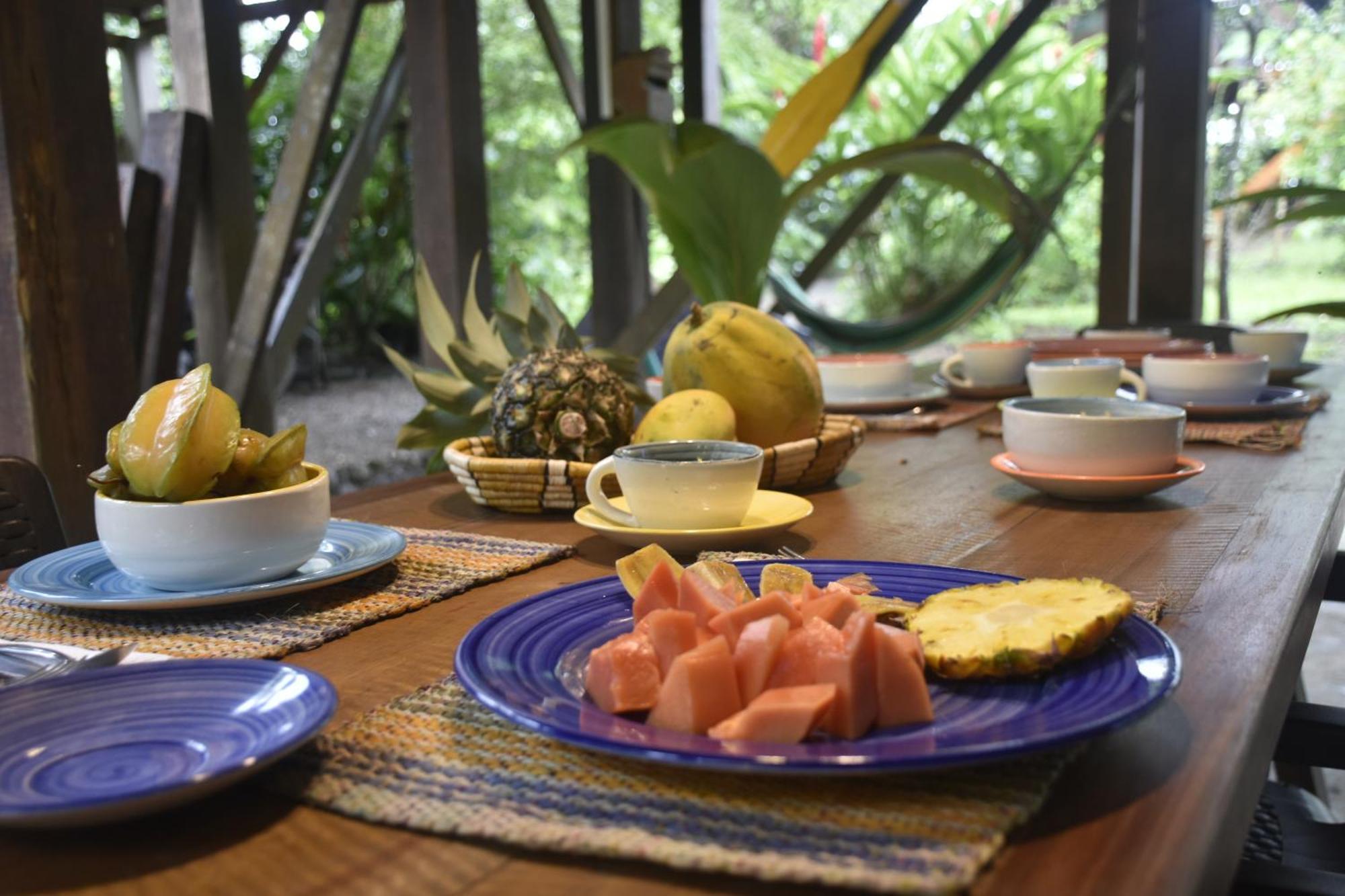 La Tarima Del Colibri Ecolodge El Valle  外观 照片