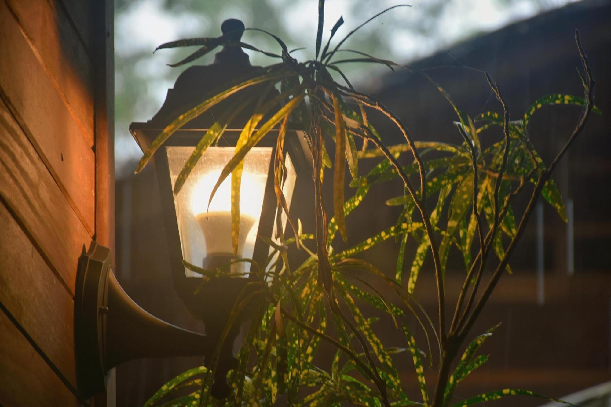 La Tarima Del Colibri Ecolodge El Valle  外观 照片