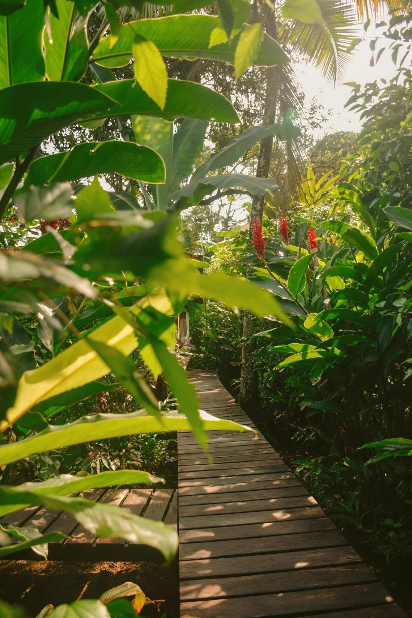 La Tarima Del Colibri Ecolodge El Valle  外观 照片