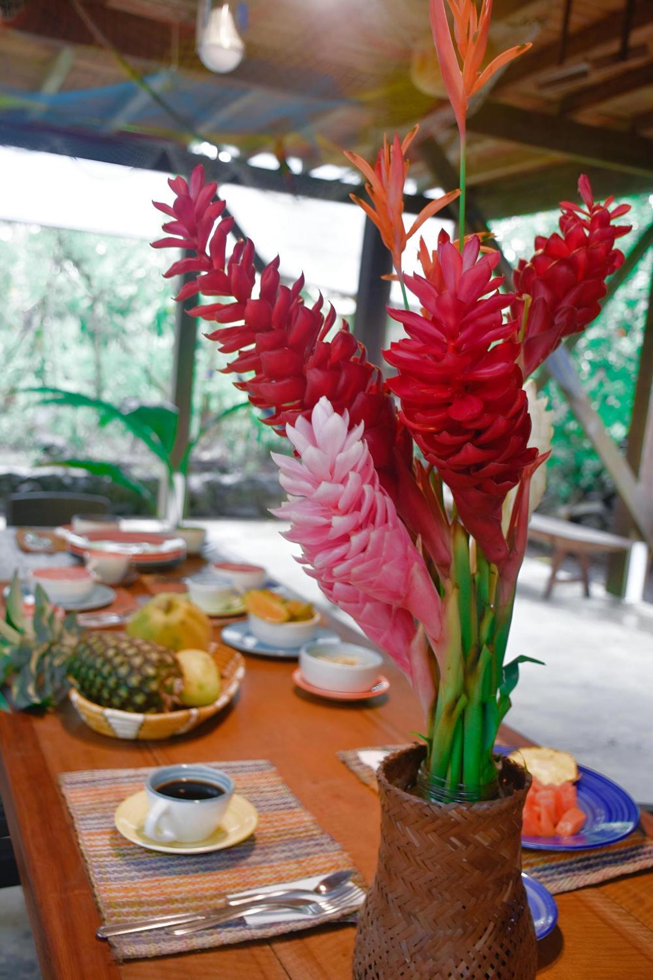 La Tarima Del Colibri Ecolodge El Valle  外观 照片