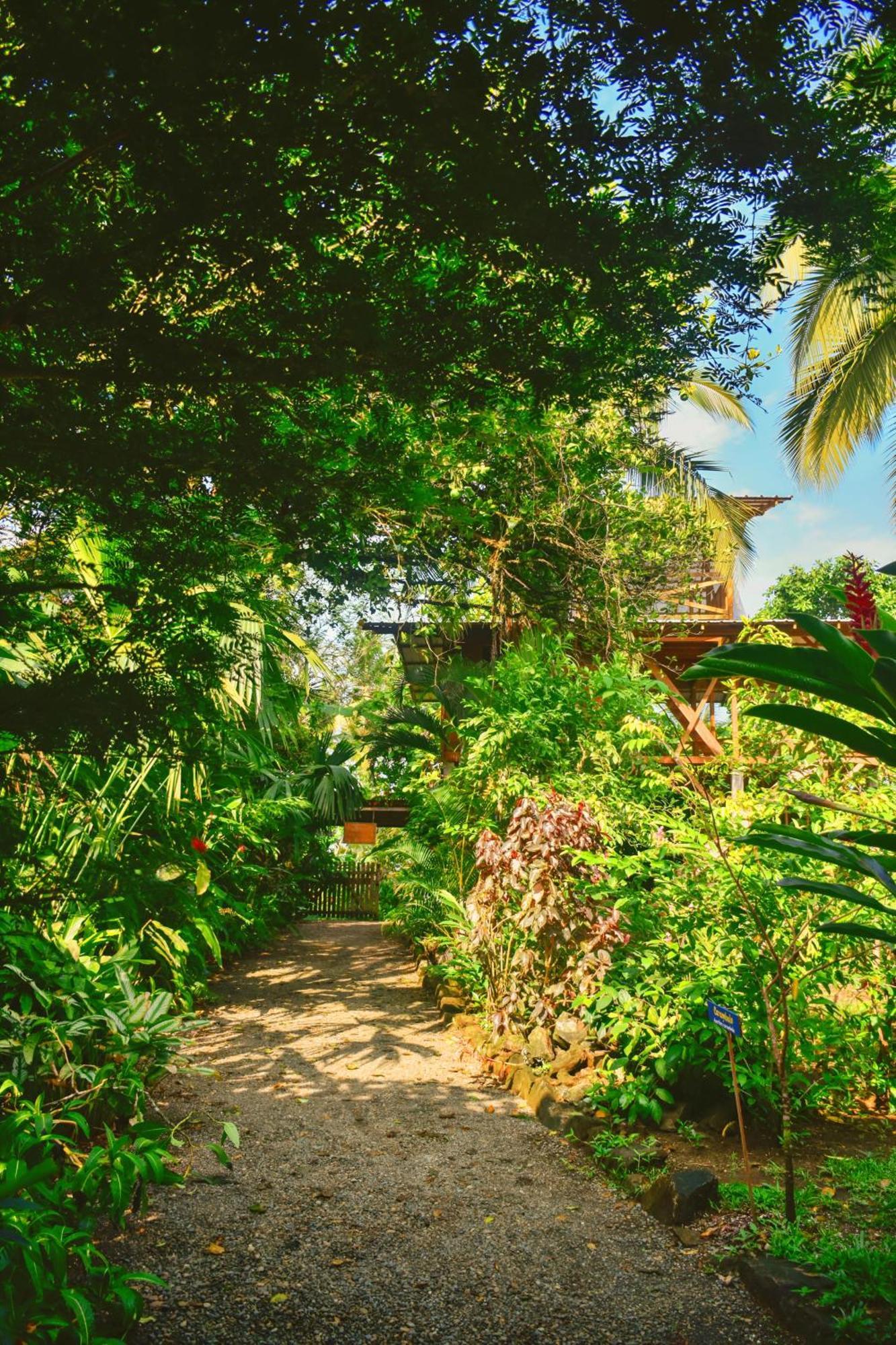 La Tarima Del Colibri Ecolodge El Valle  外观 照片