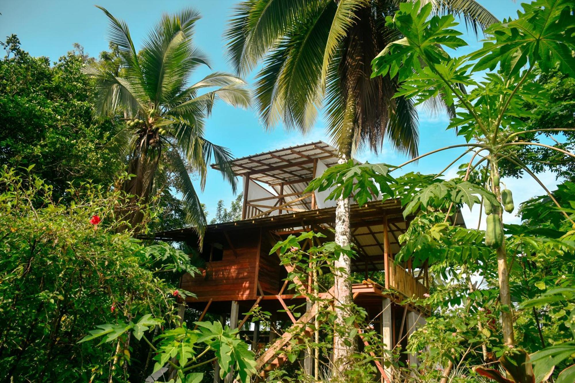 La Tarima Del Colibri Ecolodge El Valle  外观 照片